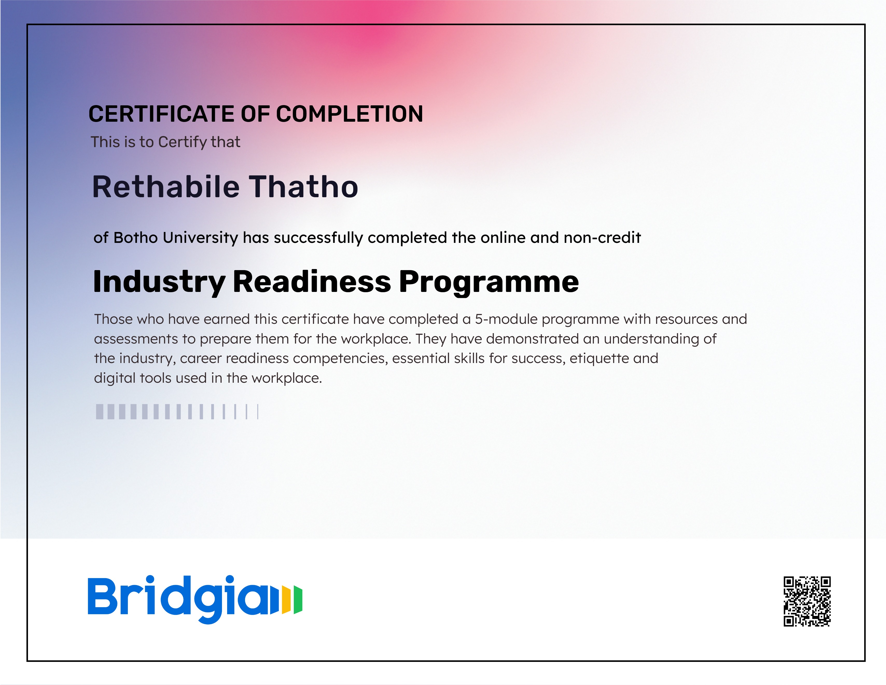 Industry Readiness Programme (for Botho University in partnership with Bridgia)