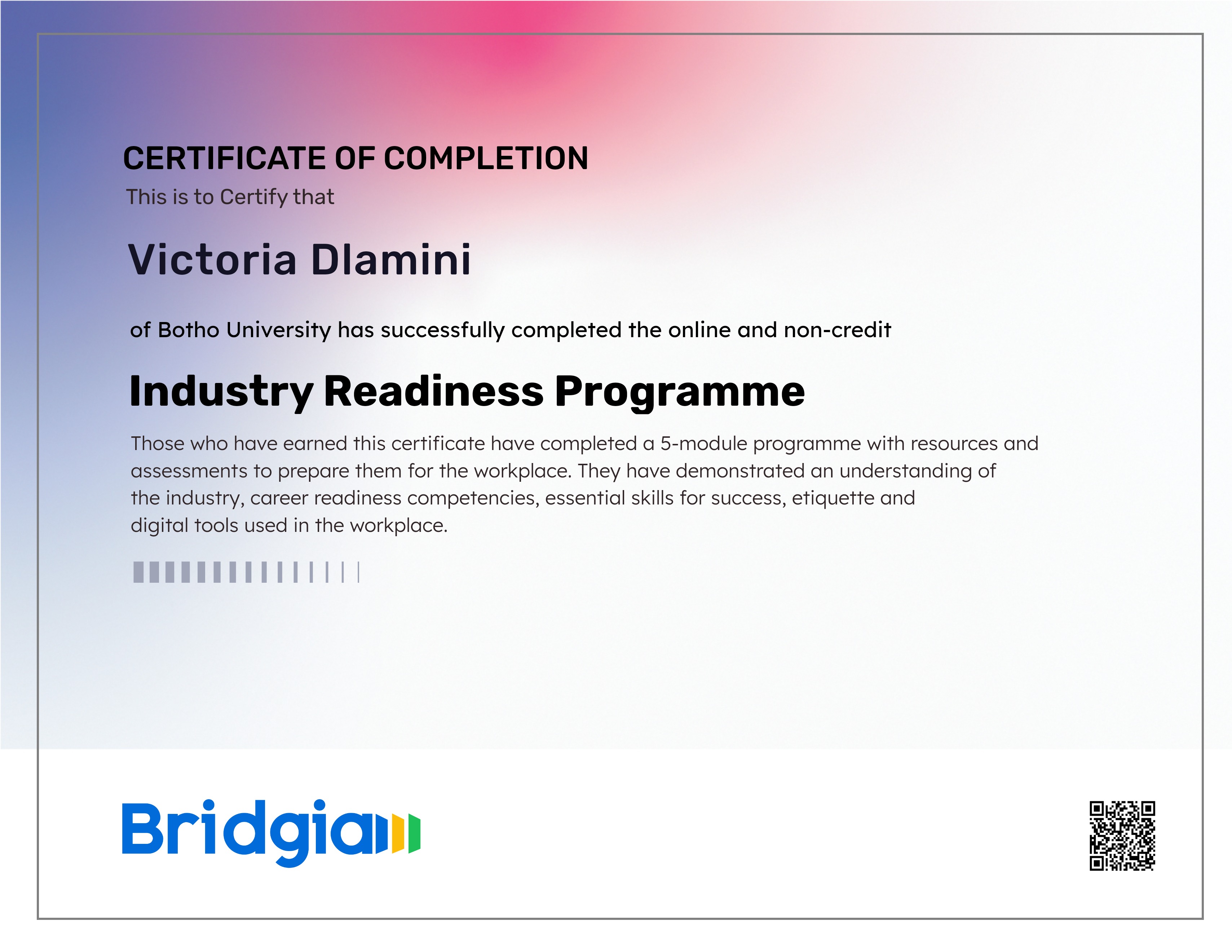Industry Readiness Programme (for Botho University in partnership with Bridgia)