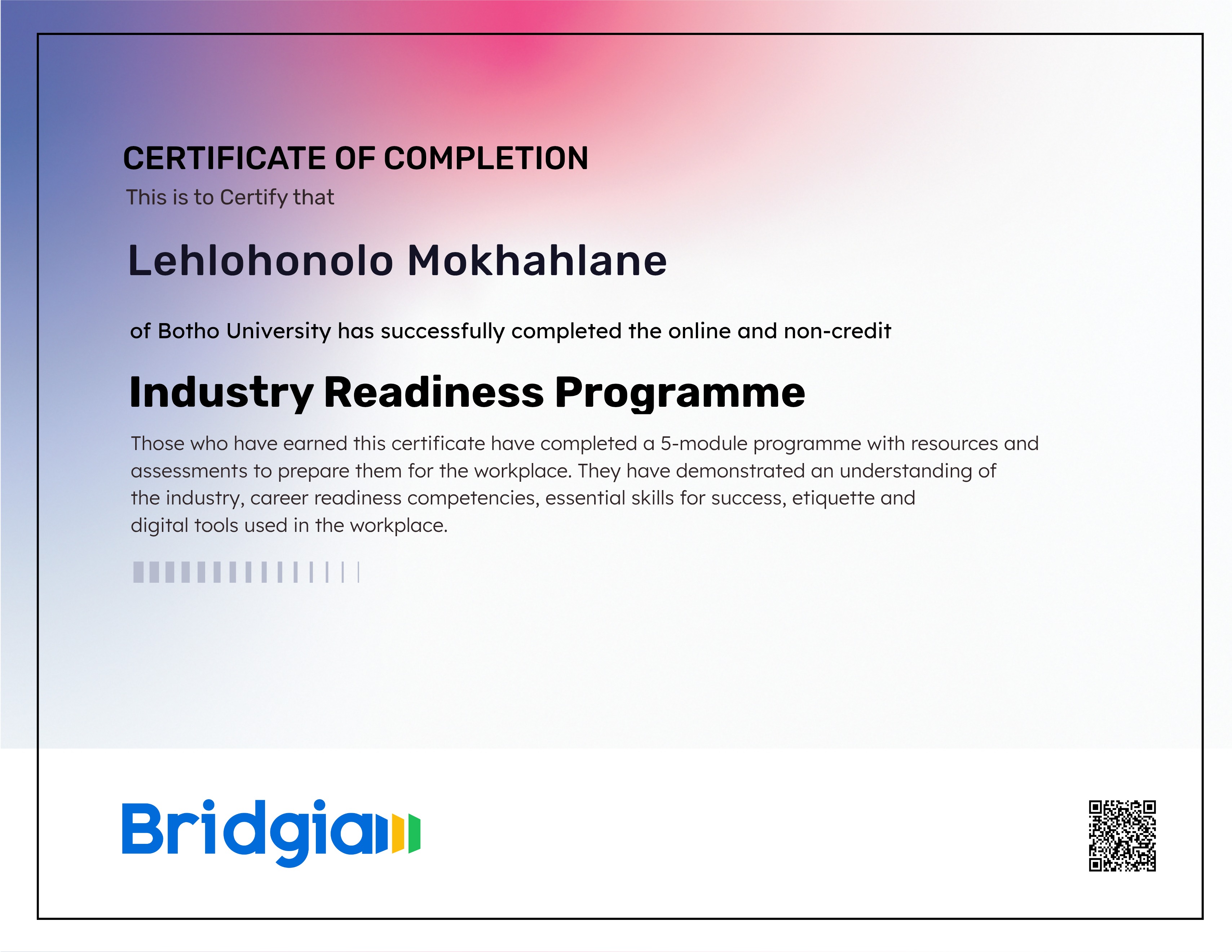 Industry Readiness Programme (for Botho University in partnership with Bridgia)
