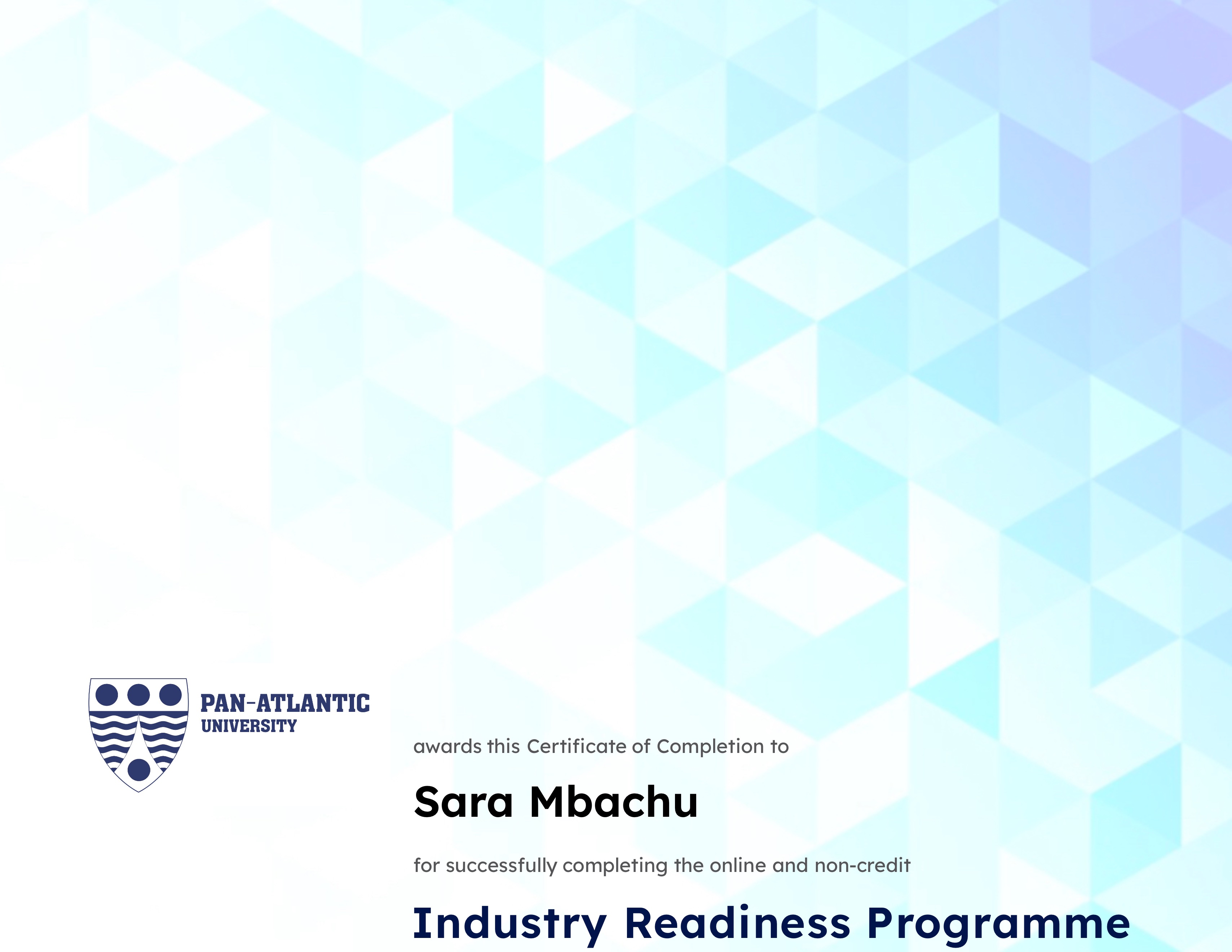 PAU Industry Readiness Programme