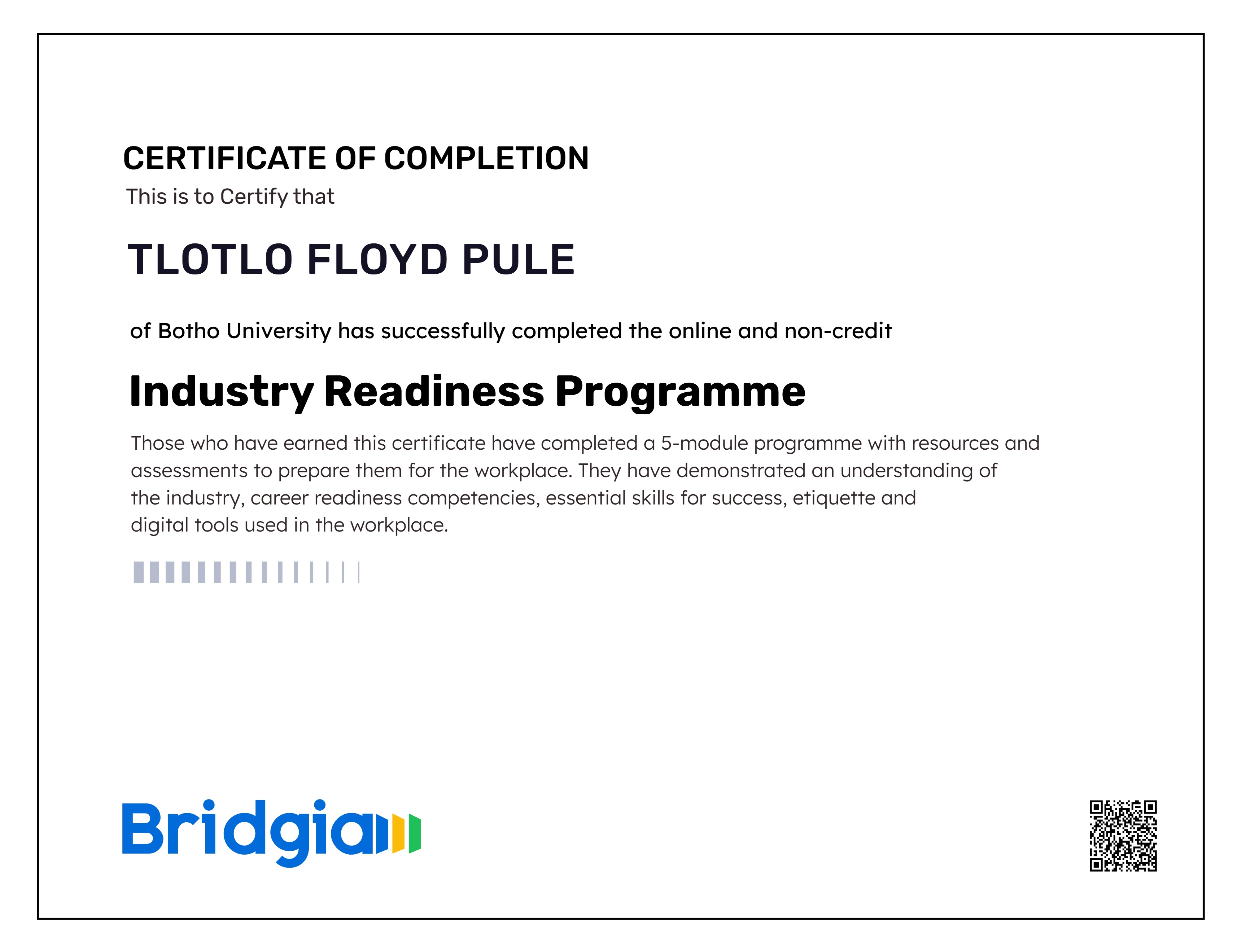 Industry Readiness Programme (for Botho University in partnership with Bridgia)