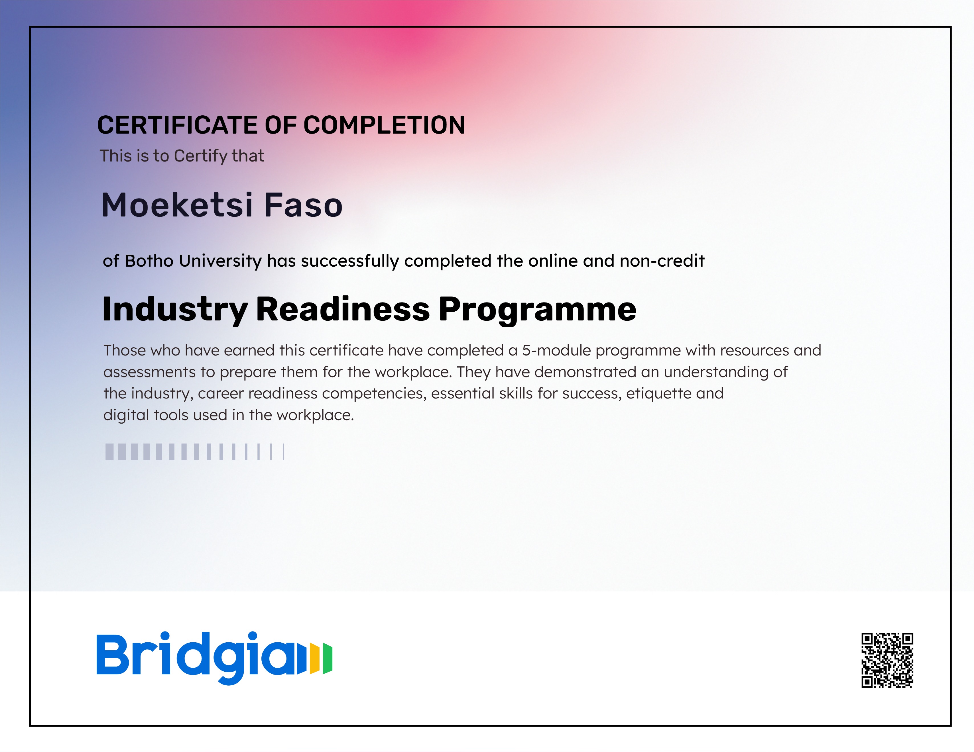 Industry Readiness Programme (for Botho University in partnership with Bridgia)