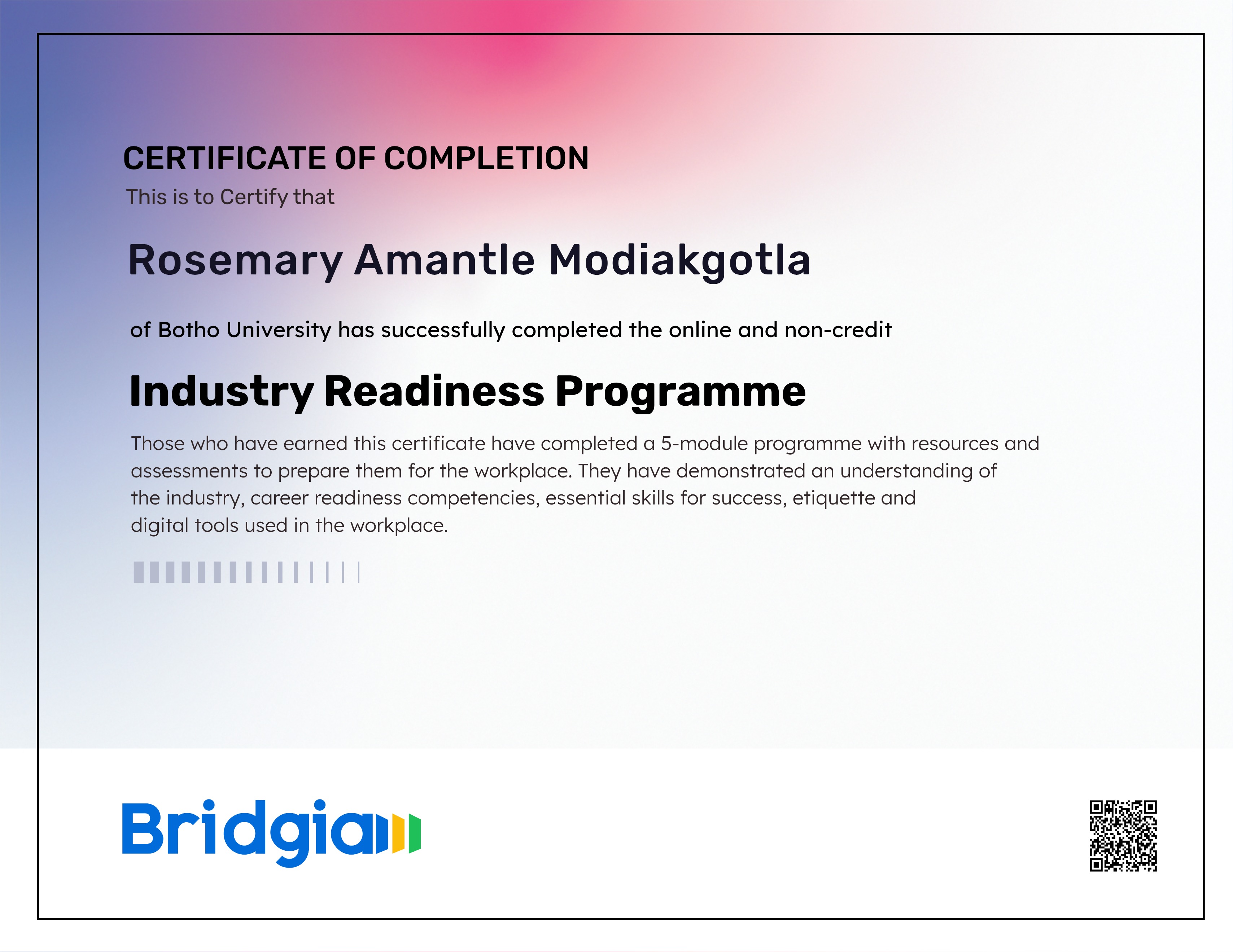 Industry Readiness Programme (for Botho University in partnership with Bridgia)