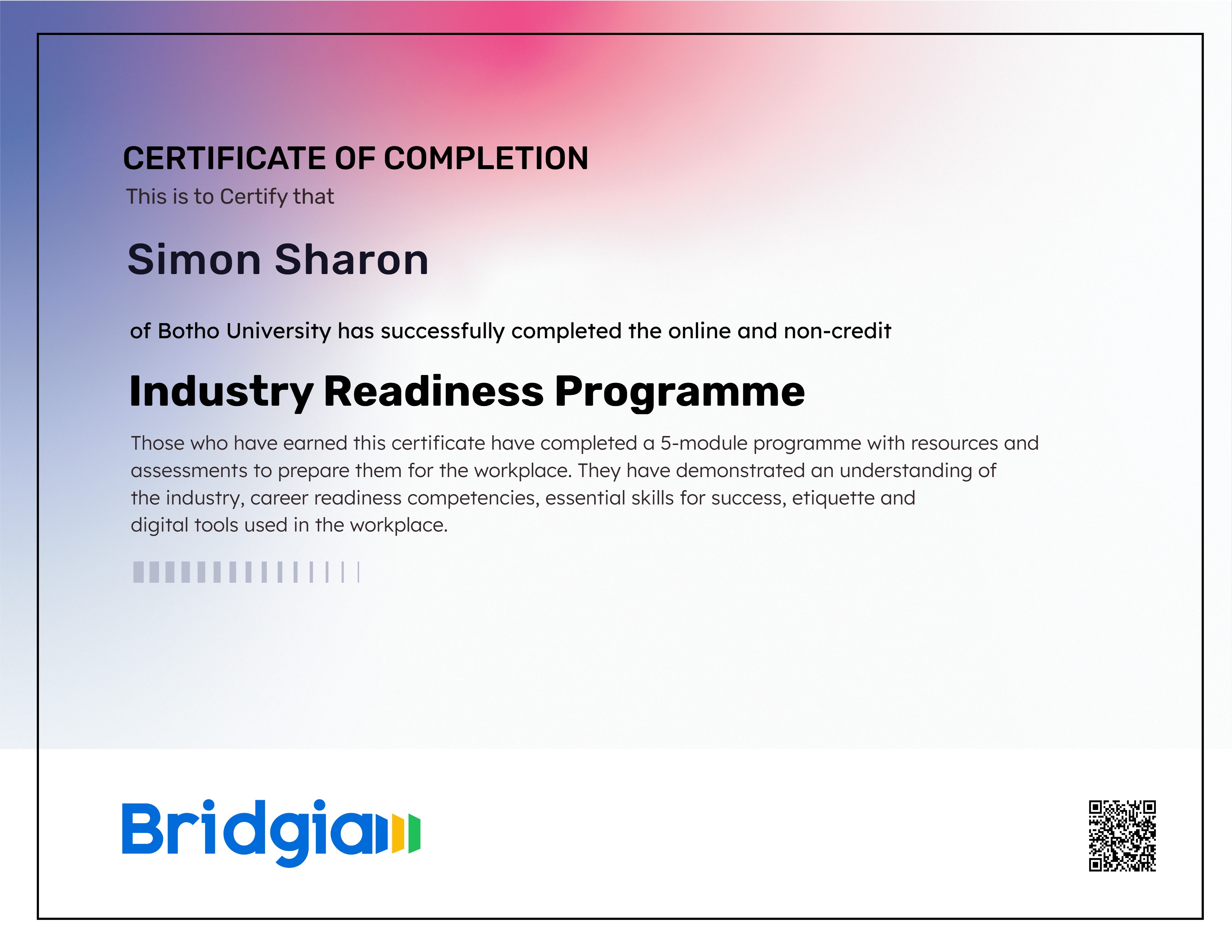 Industry Readiness Programme (for Botho University in partnership with Bridgia)