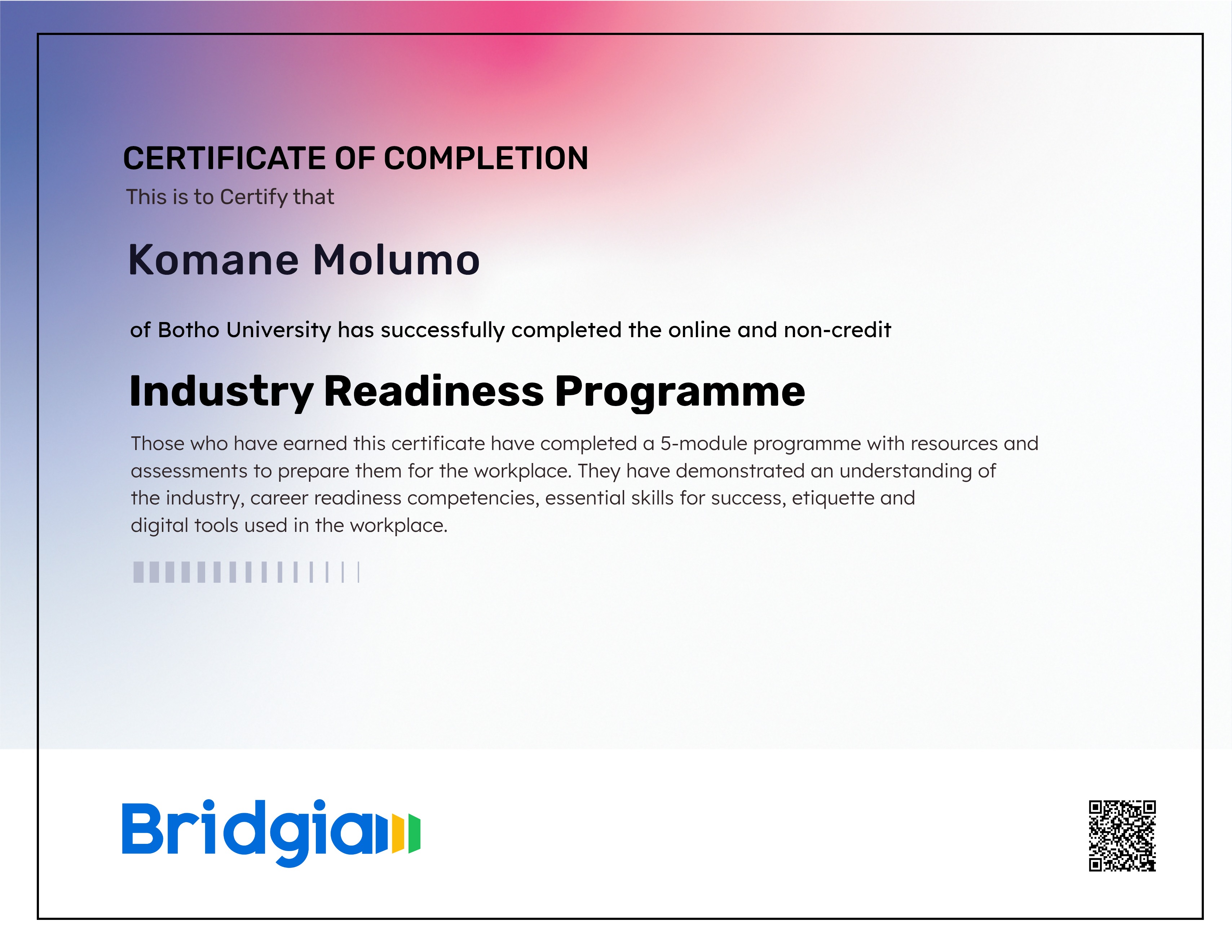 Industry Readiness Programme (for Botho University in partnership with Bridgia)